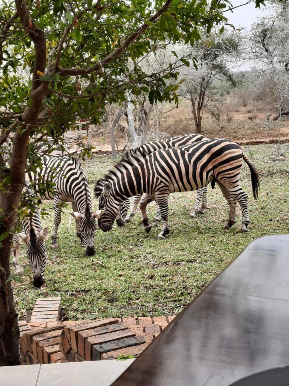 Kruger Riverside Lodge - No Load-Shedding Marloth Park Exteriér fotografie