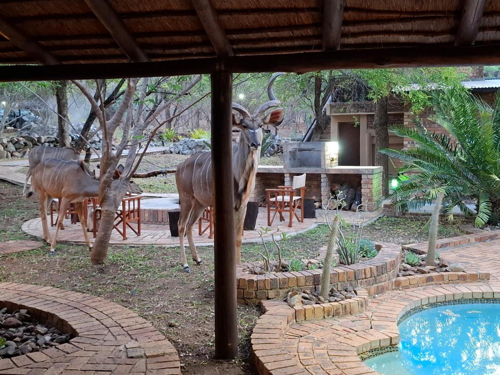 Kruger Riverside Lodge - No Load-Shedding Marloth Park Exteriér fotografie