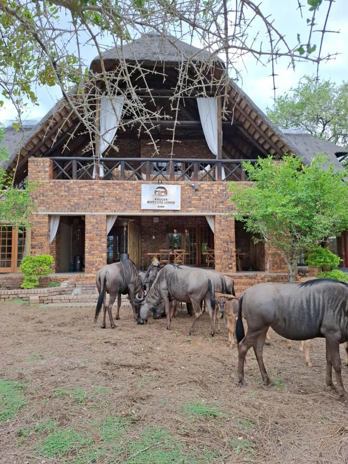 Kruger Riverside Lodge - No Load-Shedding Marloth Park Exteriér fotografie
