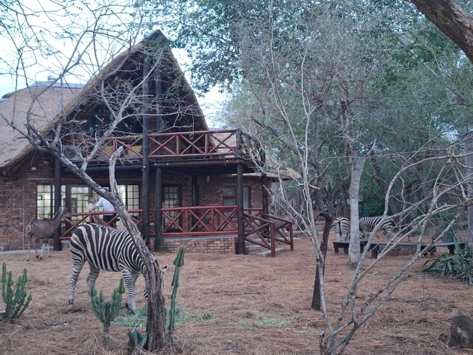 Kruger Riverside Lodge - No Load-Shedding Marloth Park Exteriér fotografie