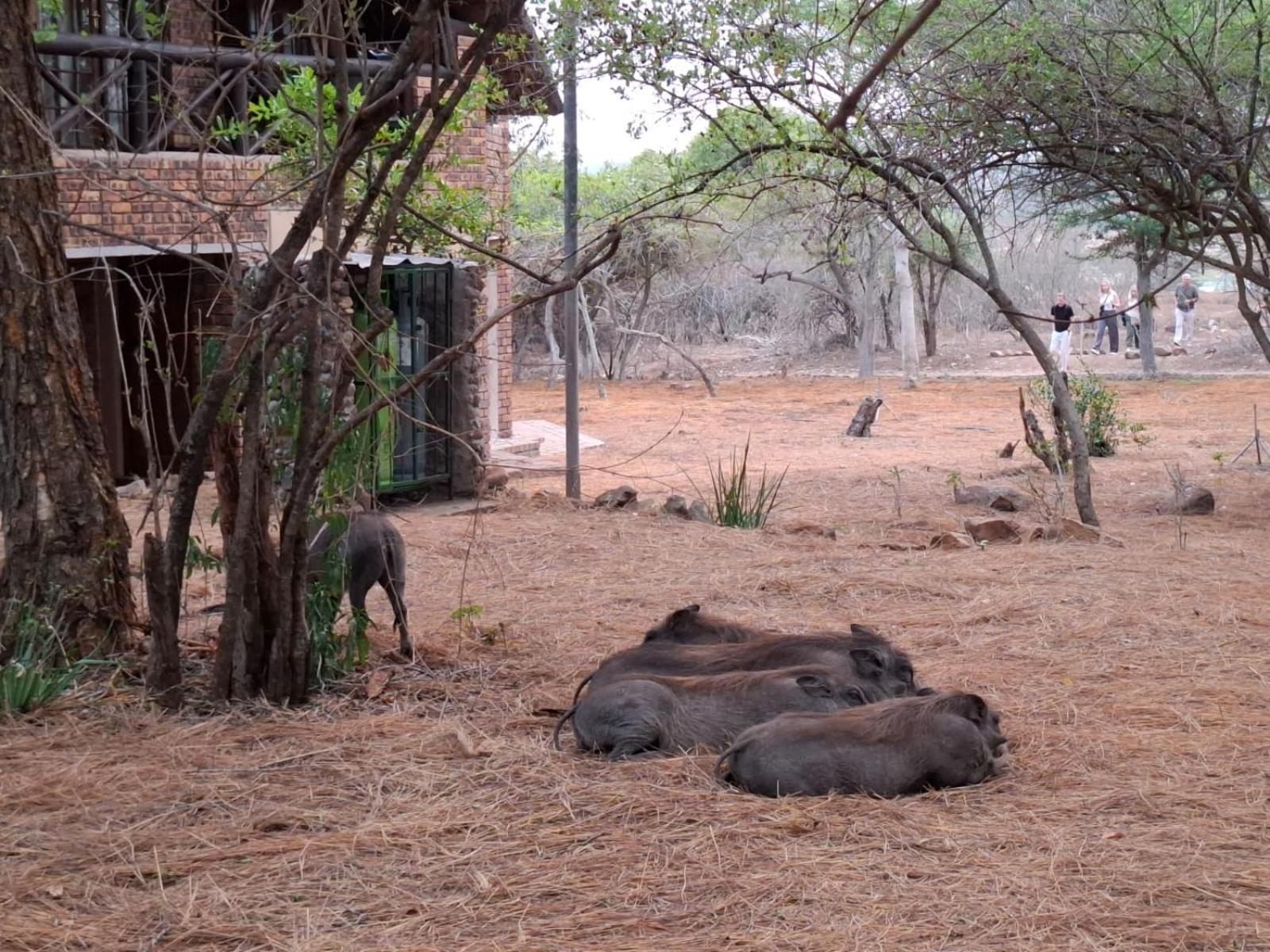 Kruger Riverside Lodge - No Load-Shedding Marloth Park Exteriér fotografie