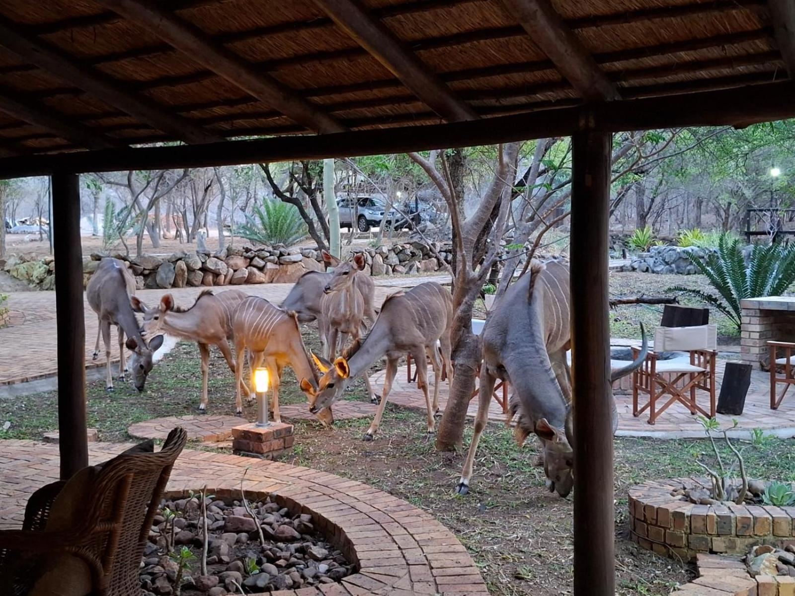 Kruger Riverside Lodge - No Load-Shedding Marloth Park Exteriér fotografie