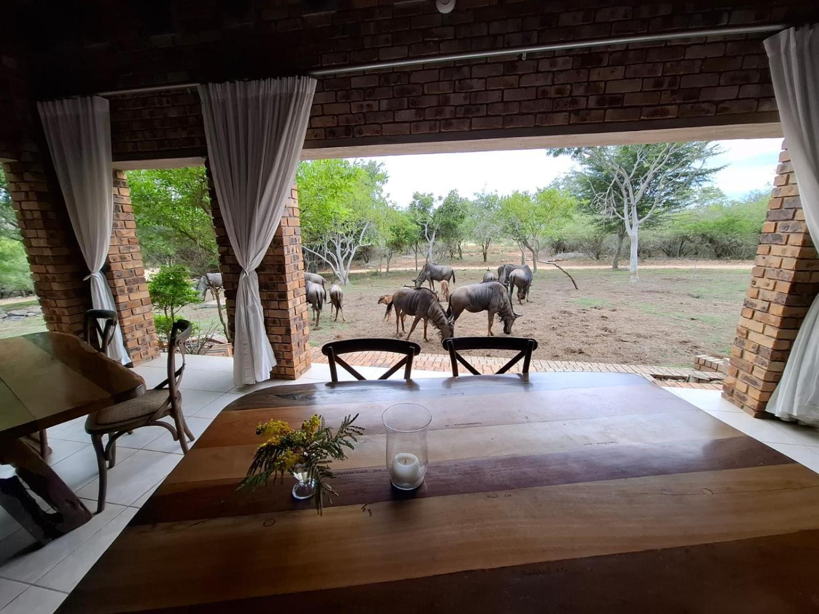 Kruger Riverside Lodge - No Load-Shedding Marloth Park Exteriér fotografie