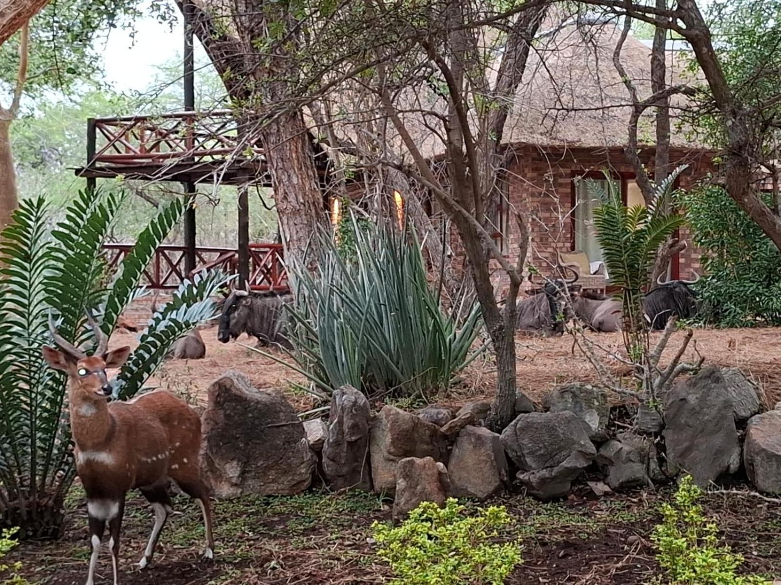Kruger Riverside Lodge - No Load-Shedding Marloth Park Exteriér fotografie
