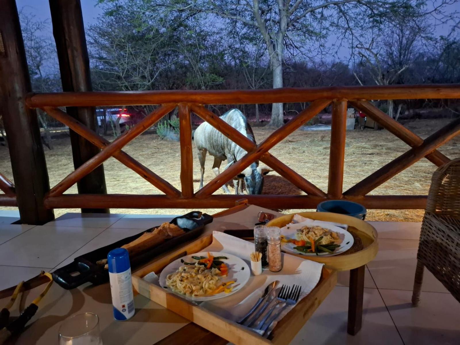 Kruger Riverside Lodge - No Load-Shedding Marloth Park Exteriér fotografie